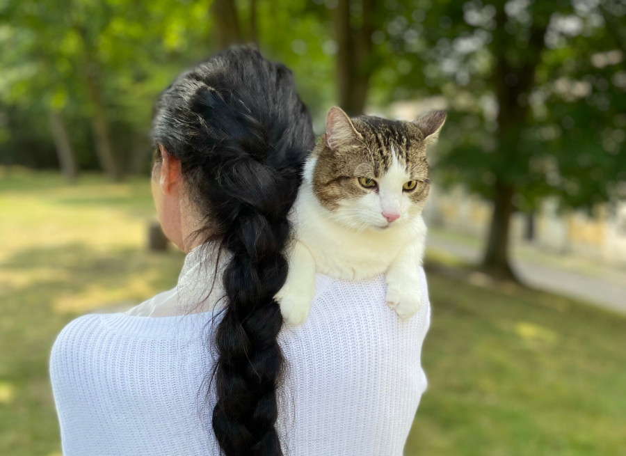 Foto k příspěvku