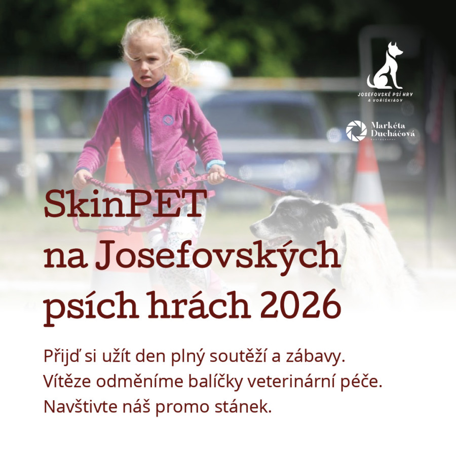 Foto k příspěvku