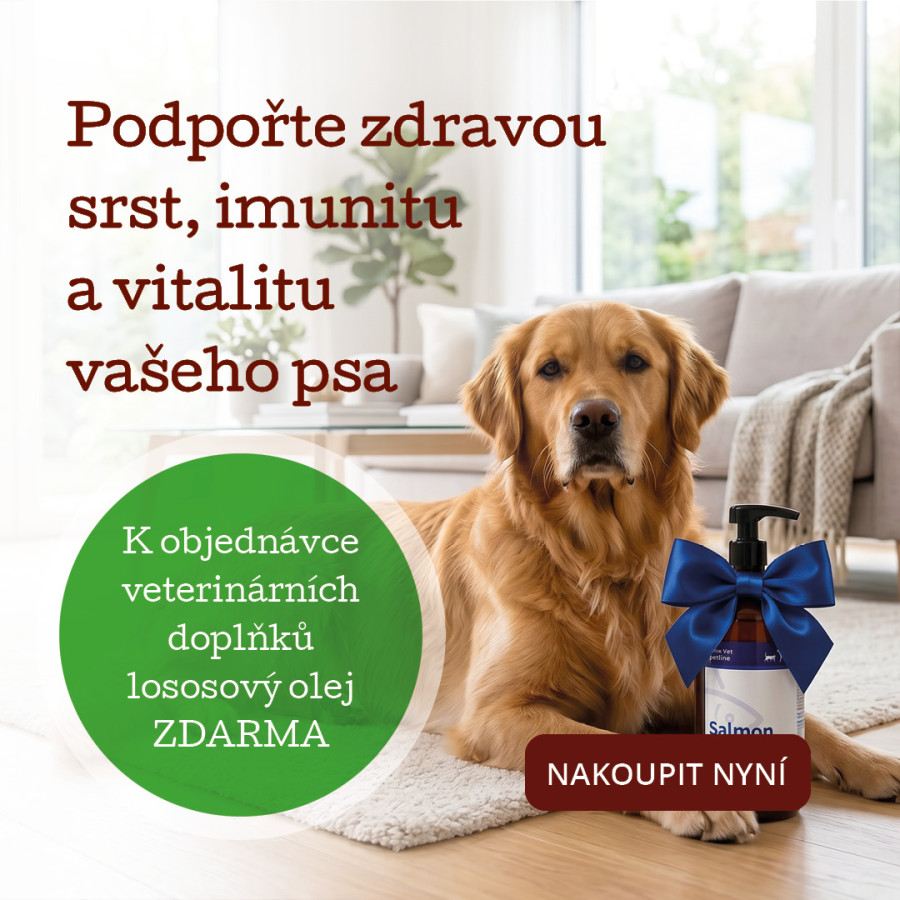 Foto k příspěvku